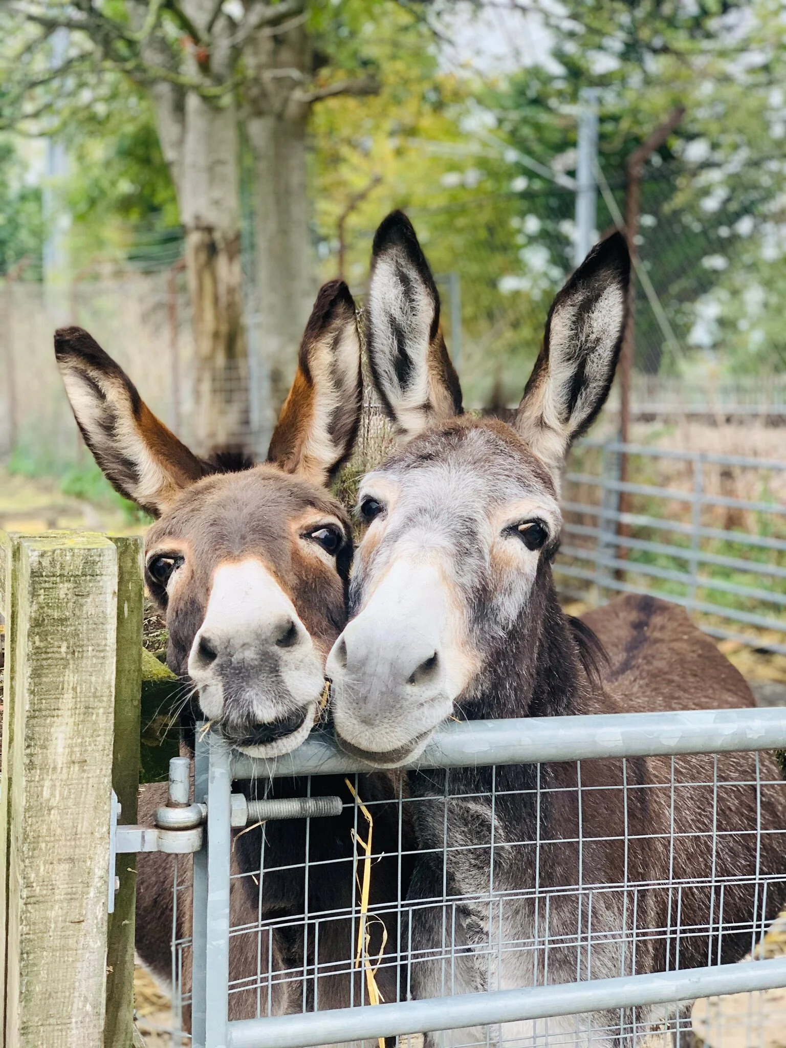 E04RtolWUAExjS7.jfif