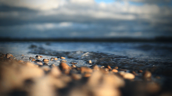 Vagues-1_600.gif