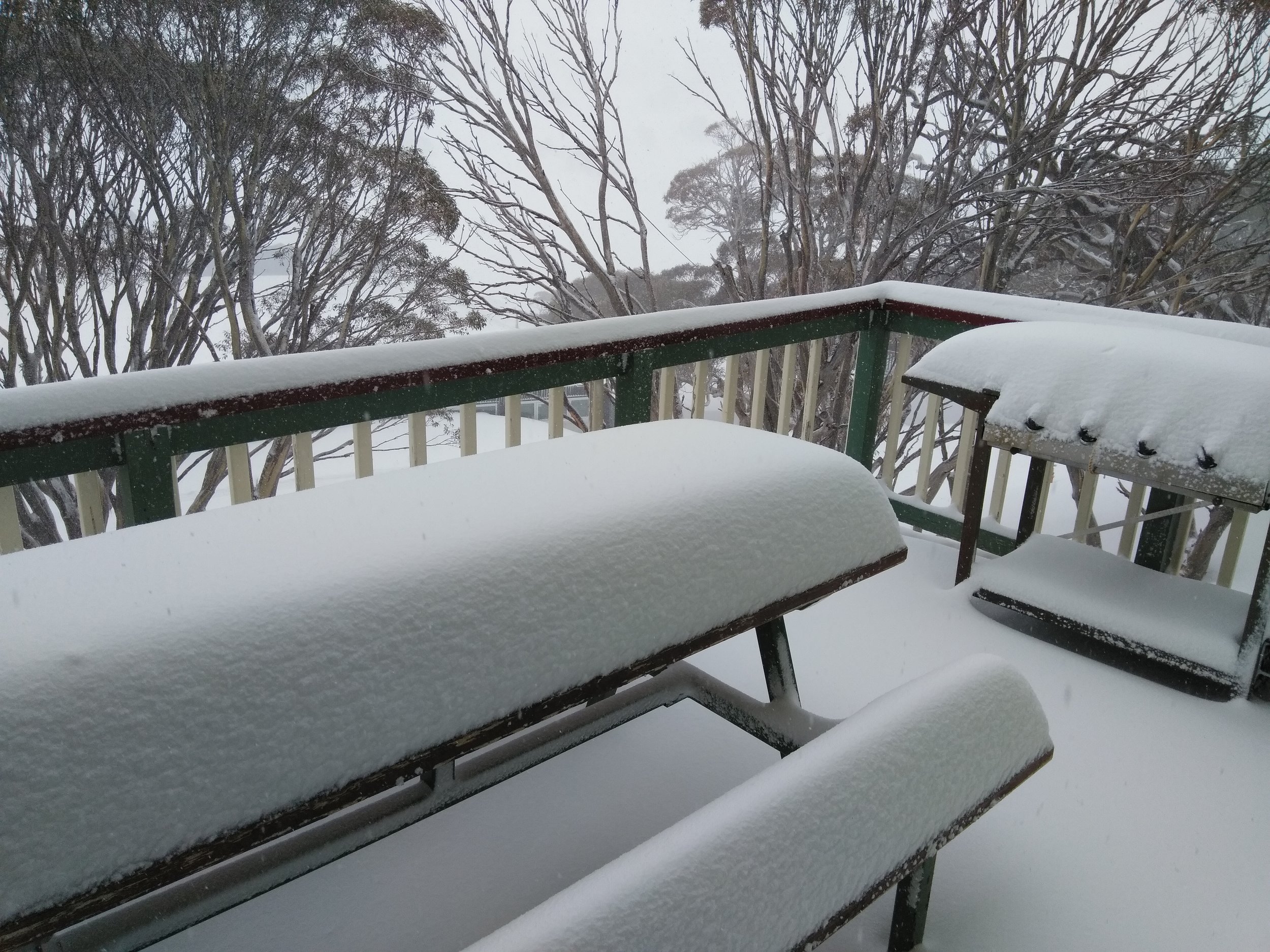 Snow fall lower balcony - Charlotte Pass SASC lodge
