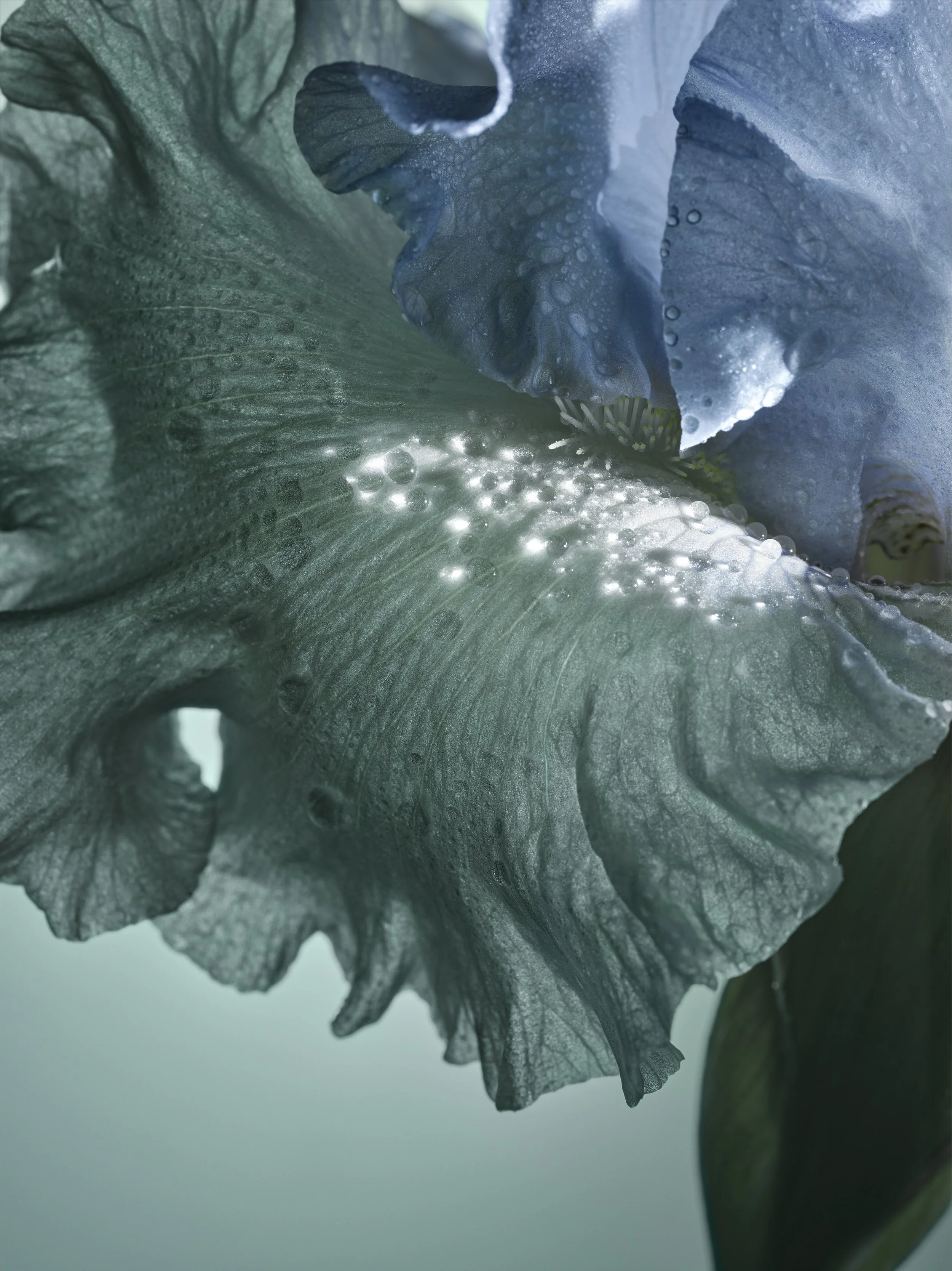 11_BEAULIEU 0524111774 ch V3 rvb MD.jpg