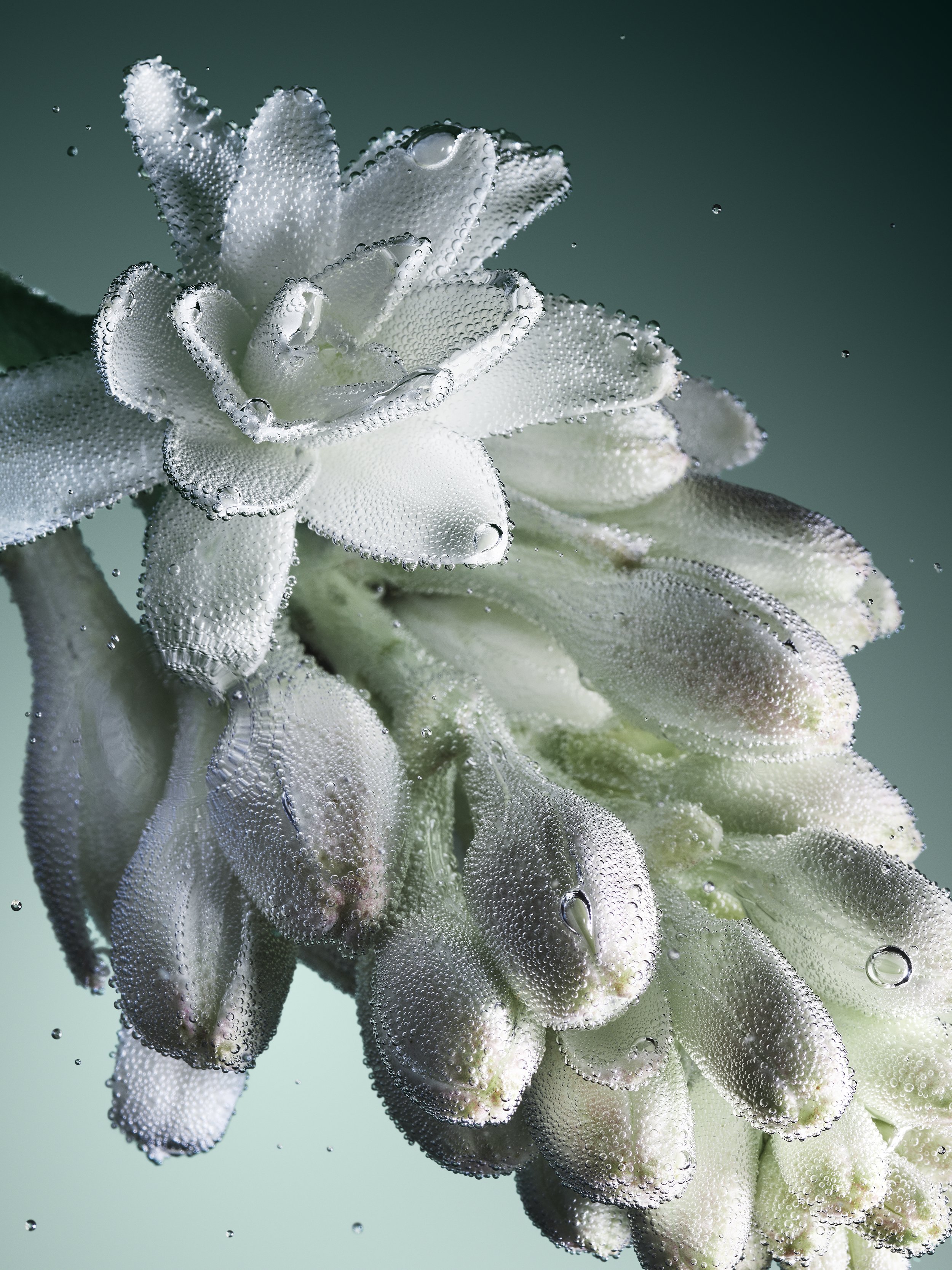 16_BEAULIEU 0524112158 ch2 V3 rvb MD.jpg