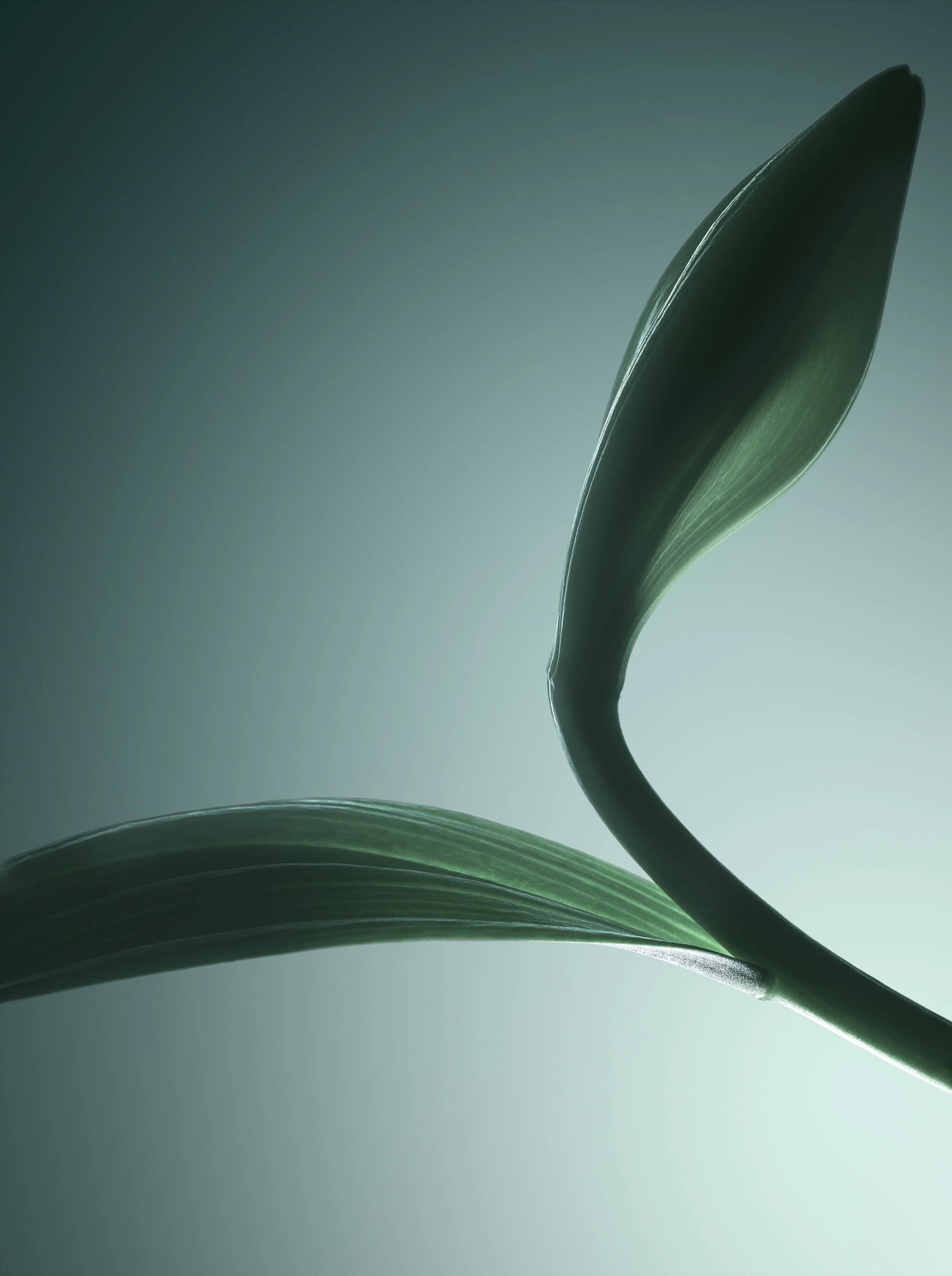 13_BEAULIEU 0524111921 ch V3 rvb MD.jpg