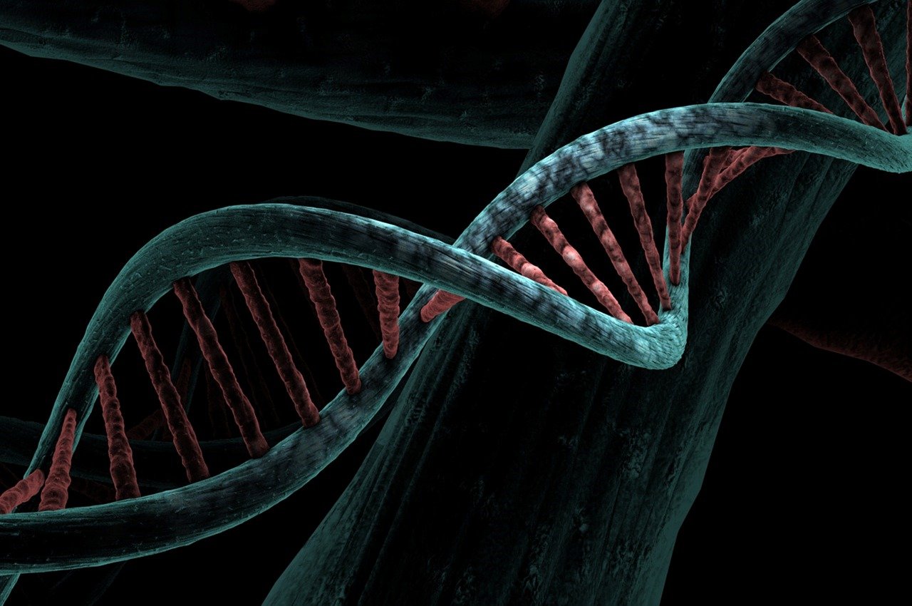 DNA To The Rescue!
