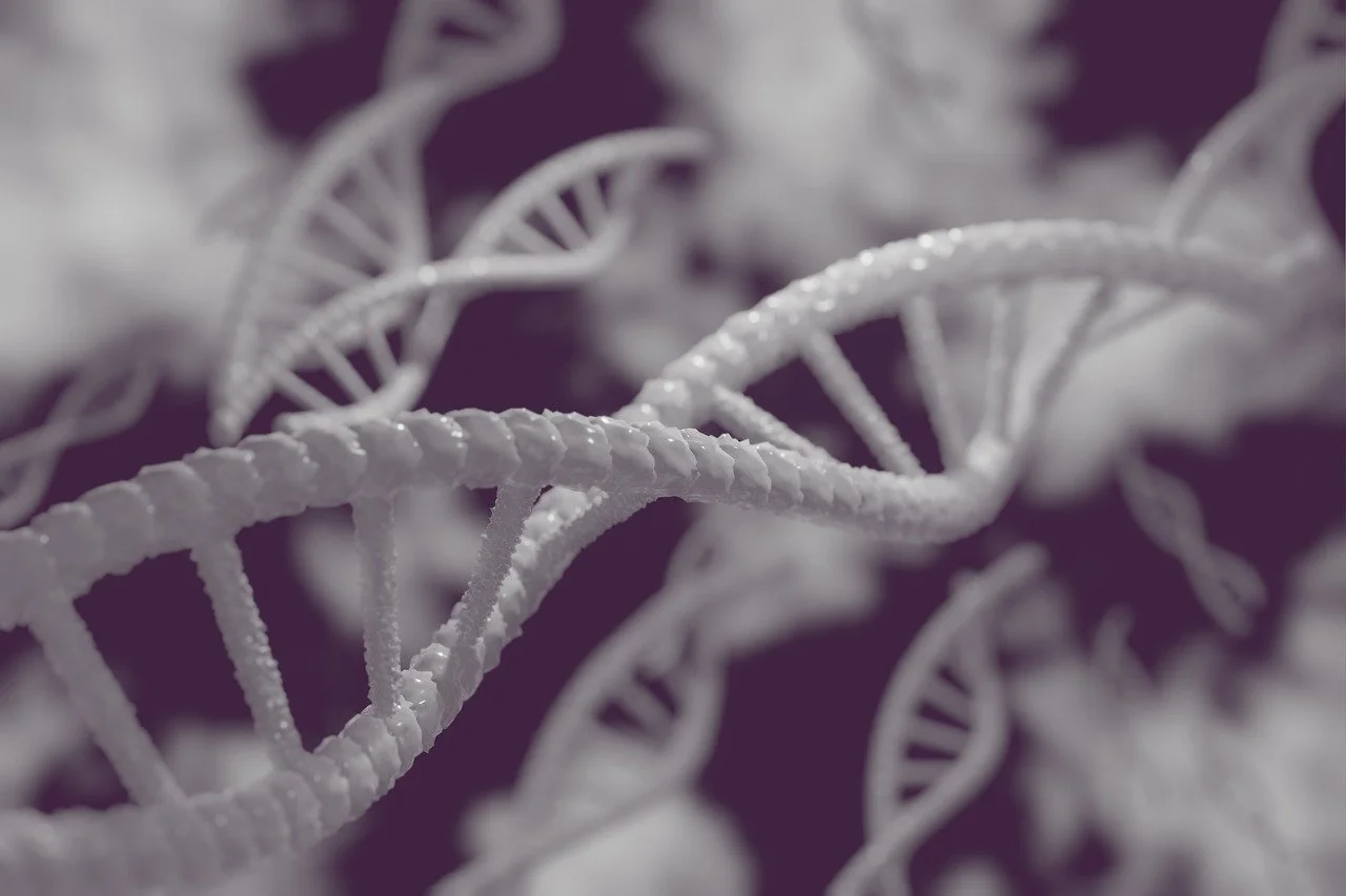 The Importance of DNA in Adoption Searches