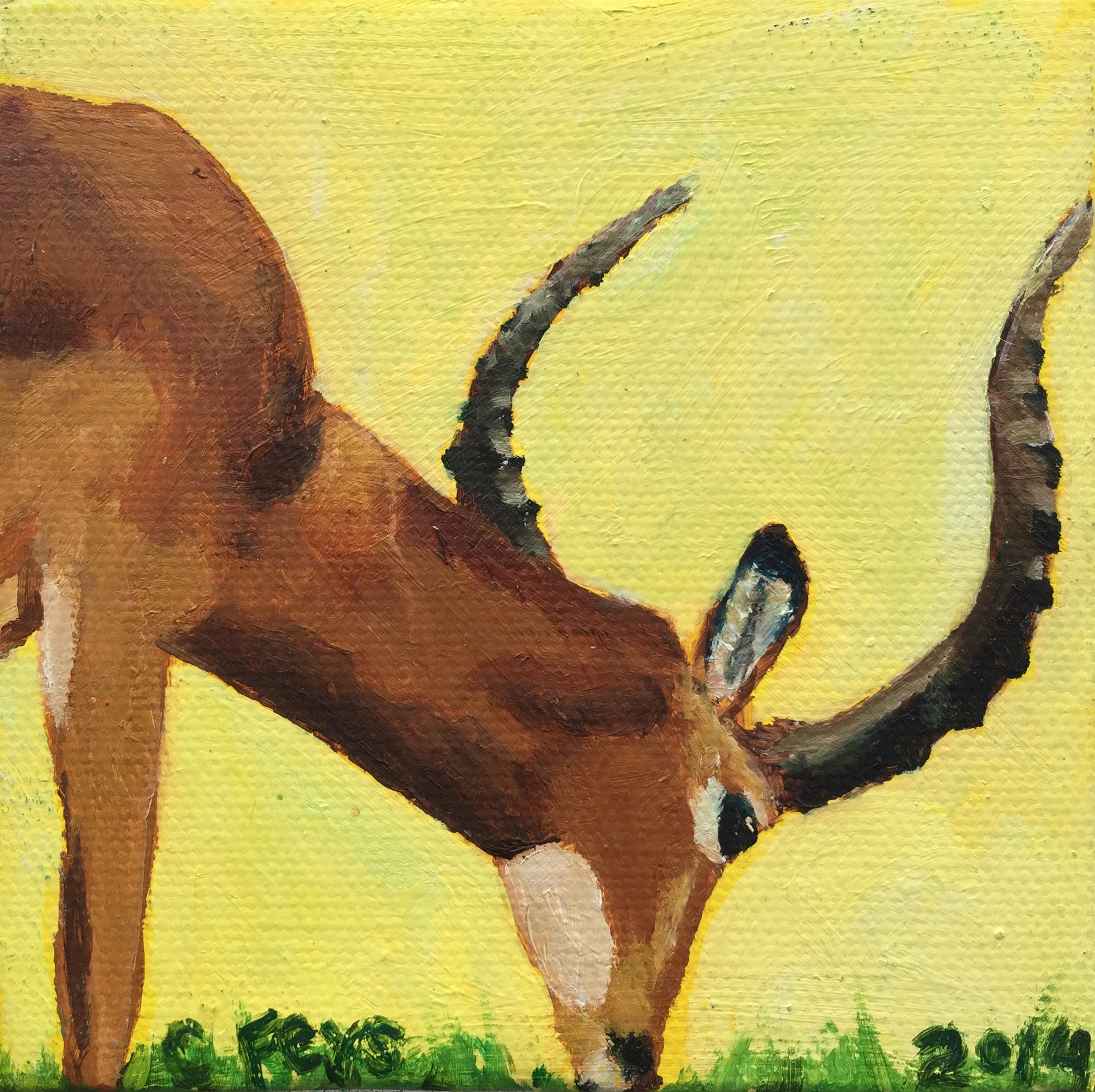 Antelope