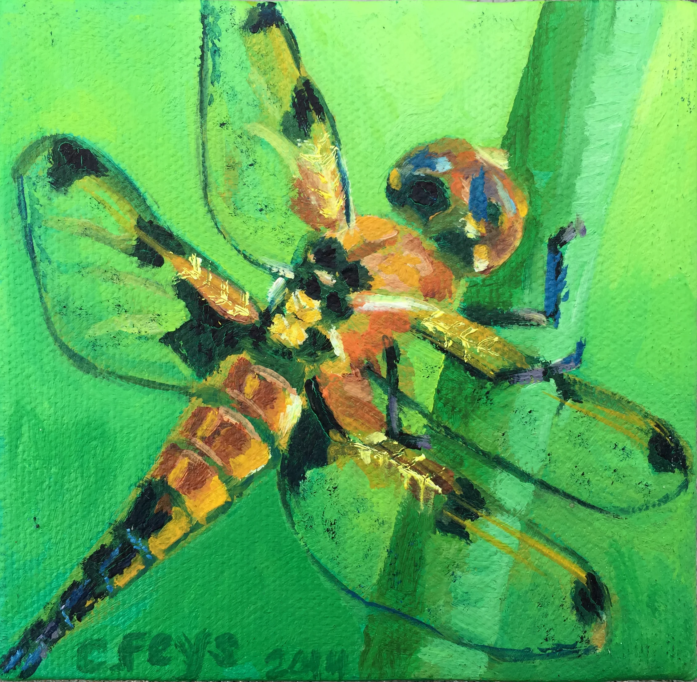 Dragonfly