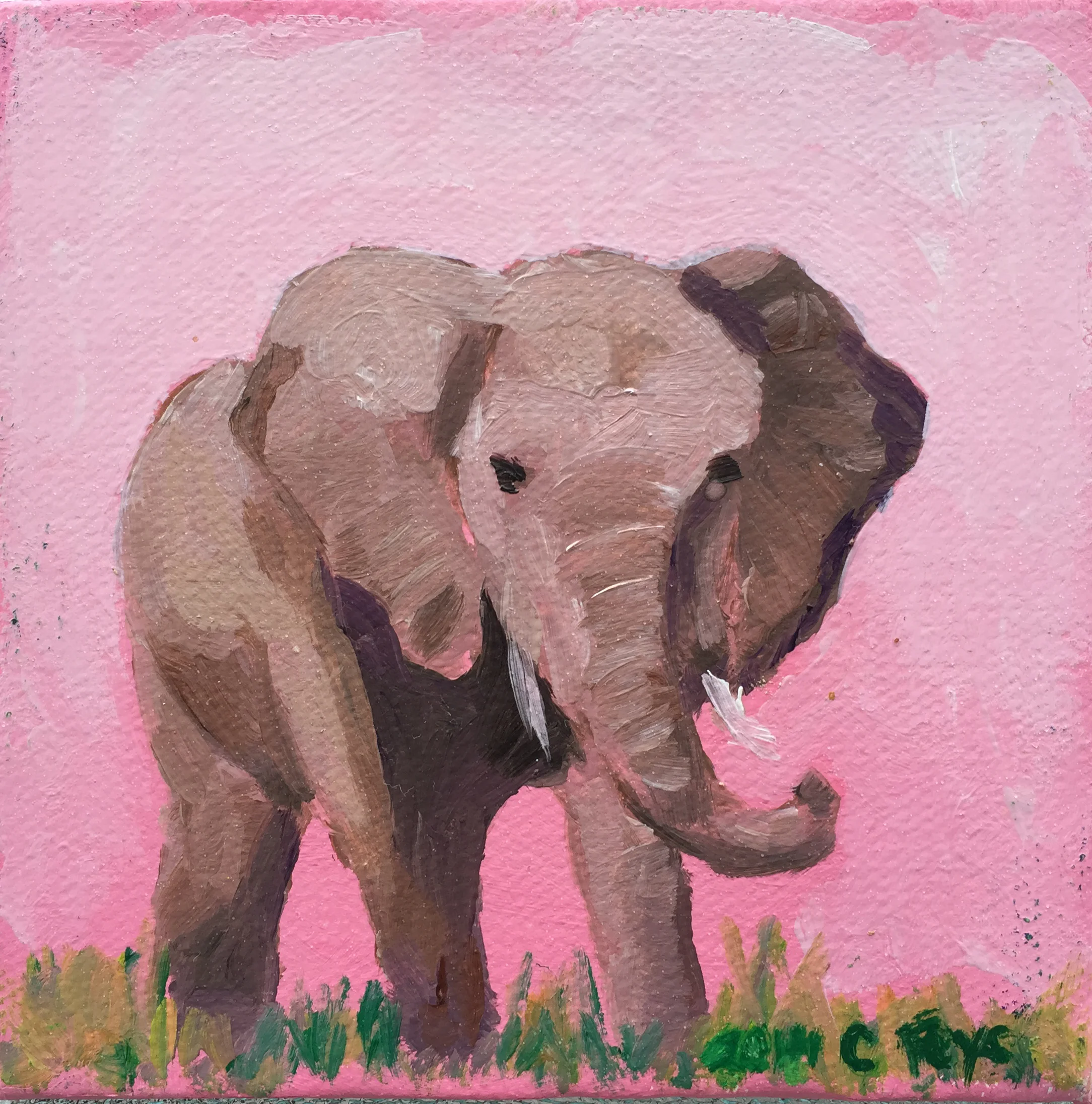 Elephant