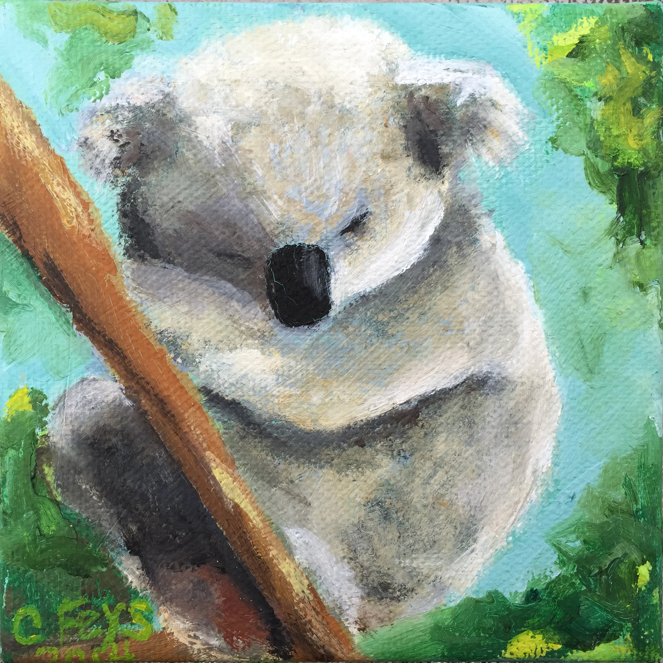Koala