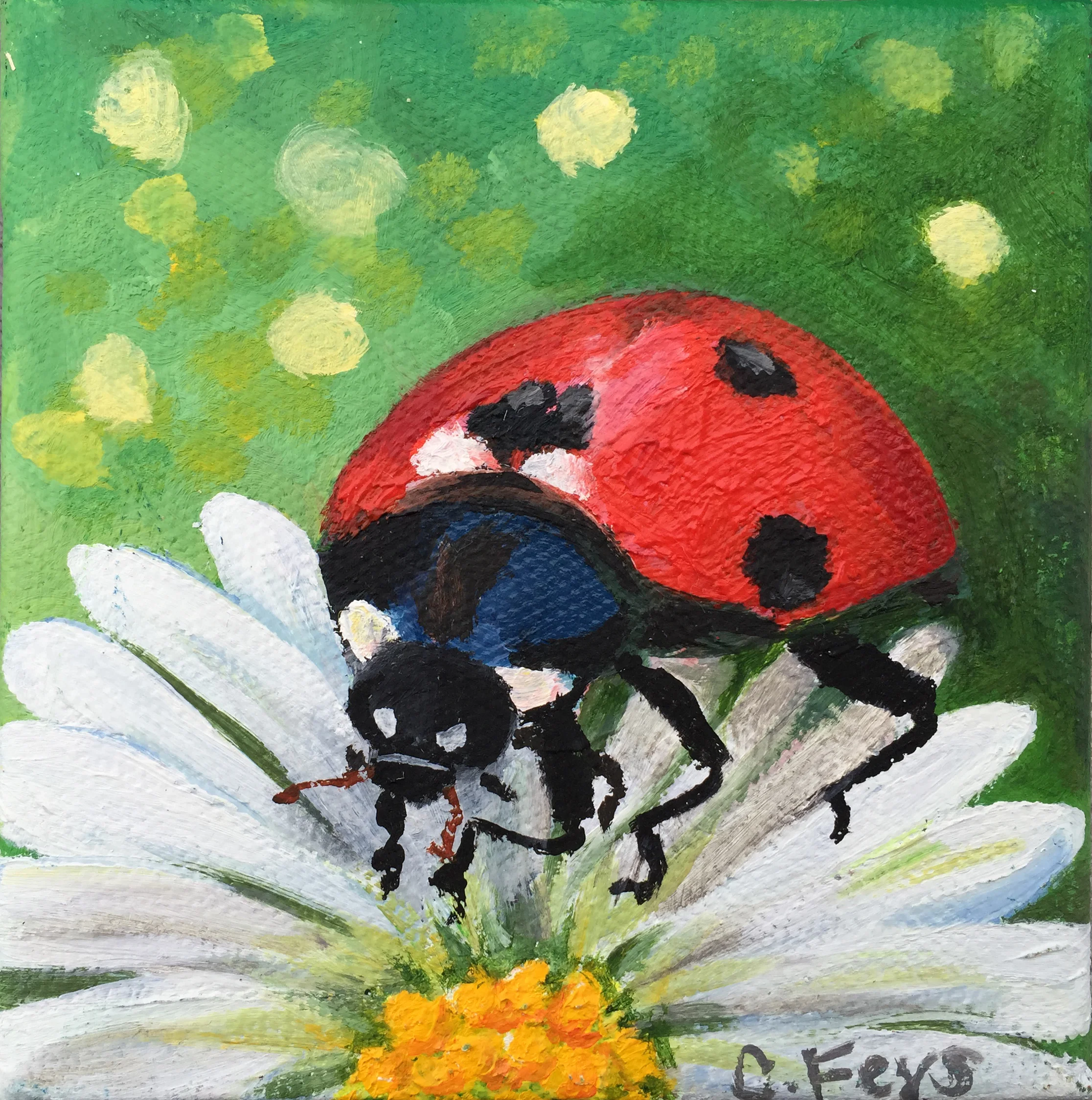 Ladybug