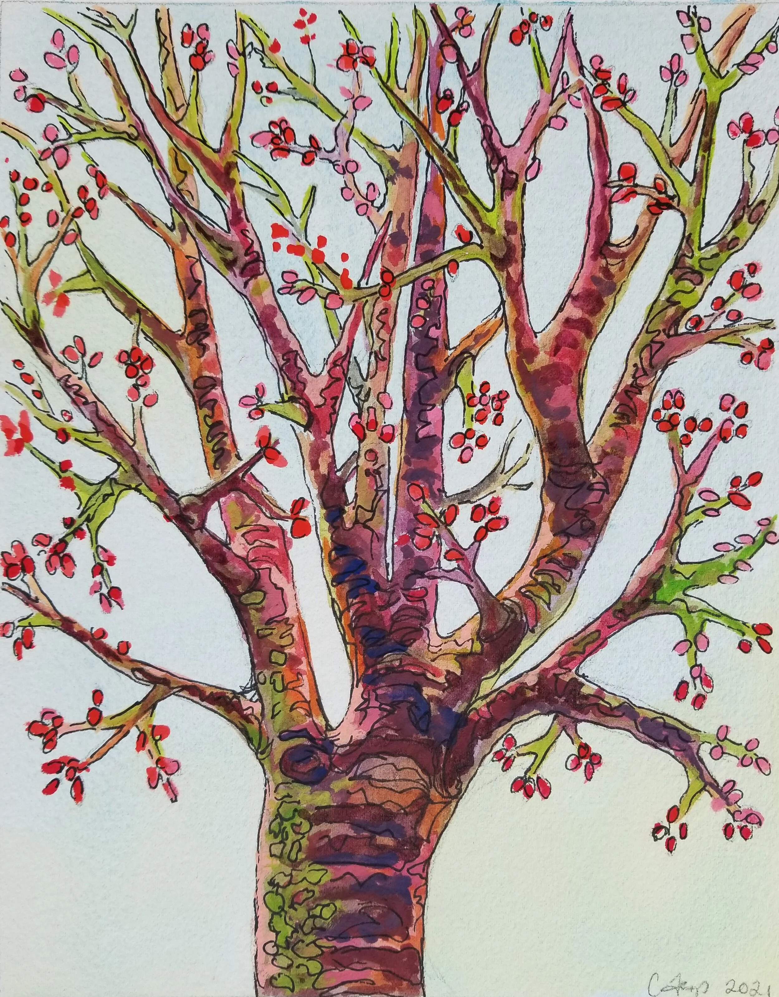 Spring 2021-tree in bloom.jpg