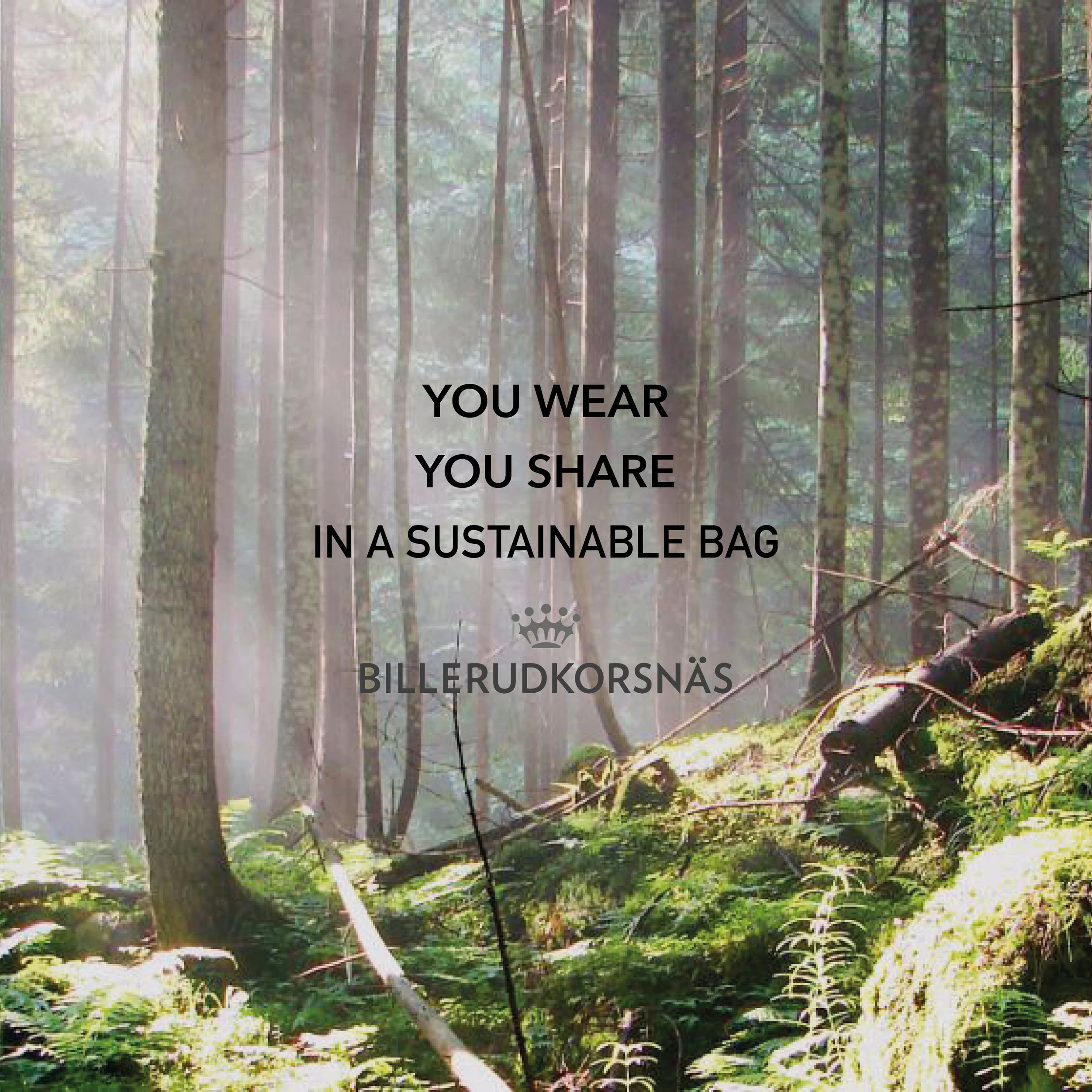 Billerudkornäs bidrar med miljösmarta kassar www.billerudkorsnas.se