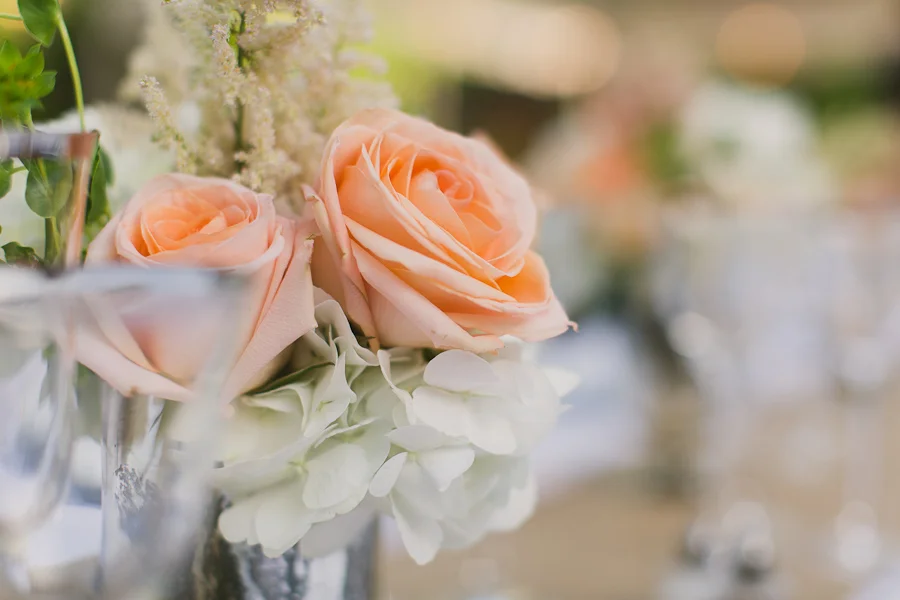 YenaDesigns_PriyaPatelPhotography_6.1.2013-26.jpg