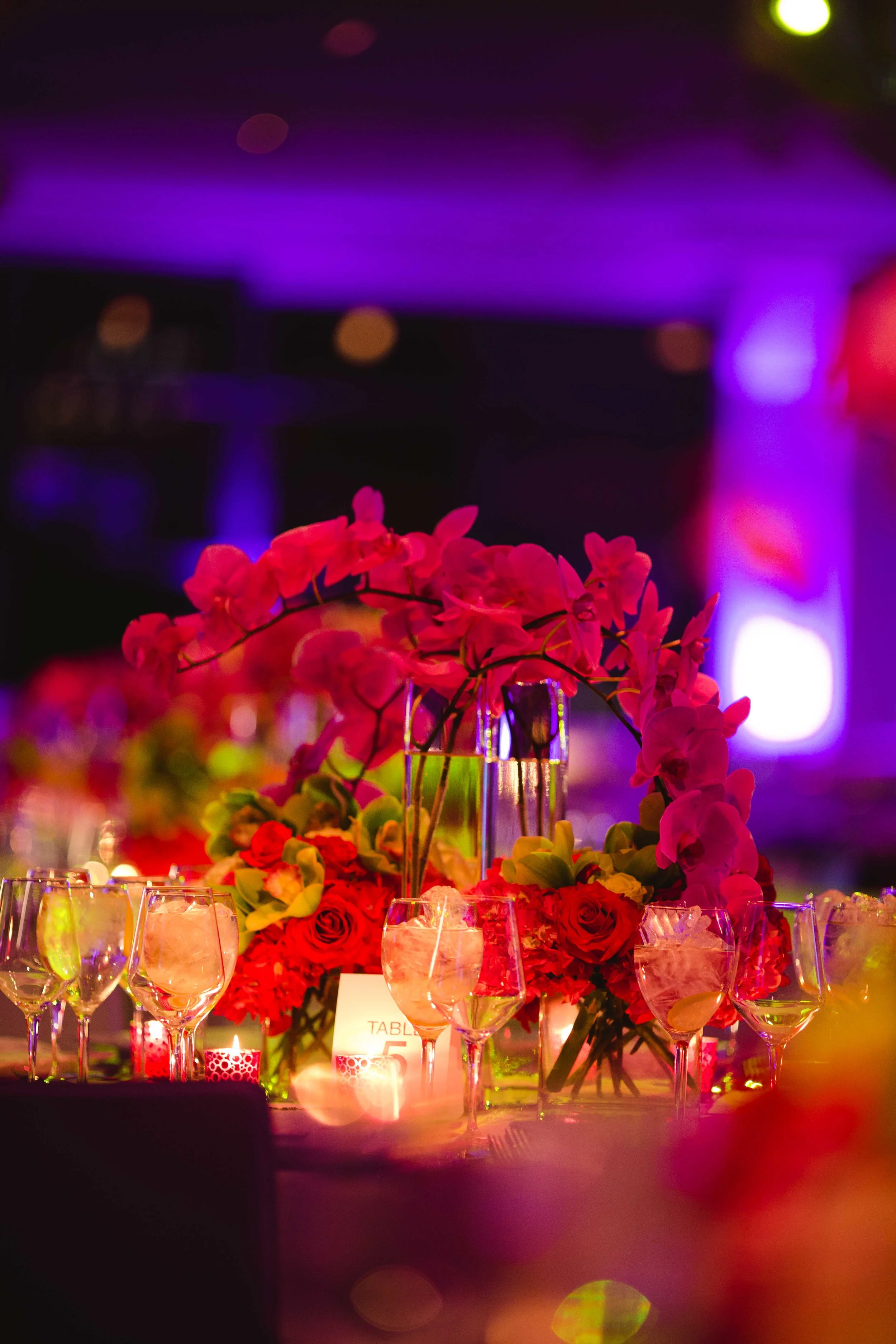 YenaDesigns_PriyaPatelPhotography_2.8.14-109.jpg