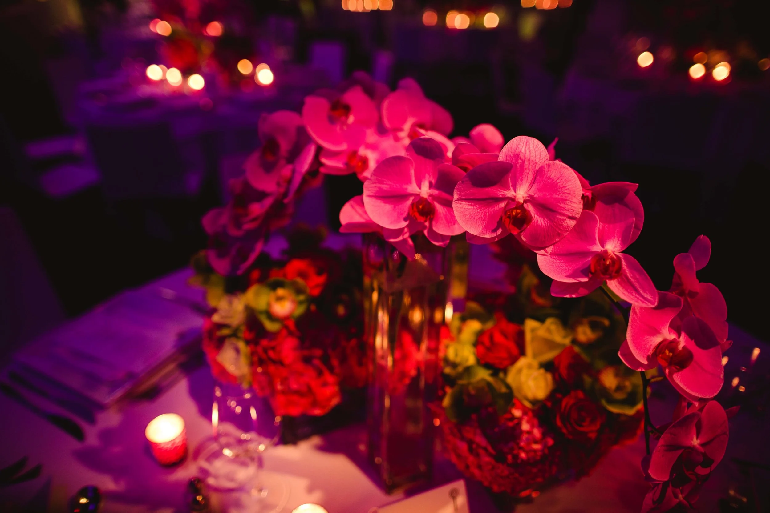 YenaDesigns_PriyaPatelPhotography_2.8.14-114.jpg