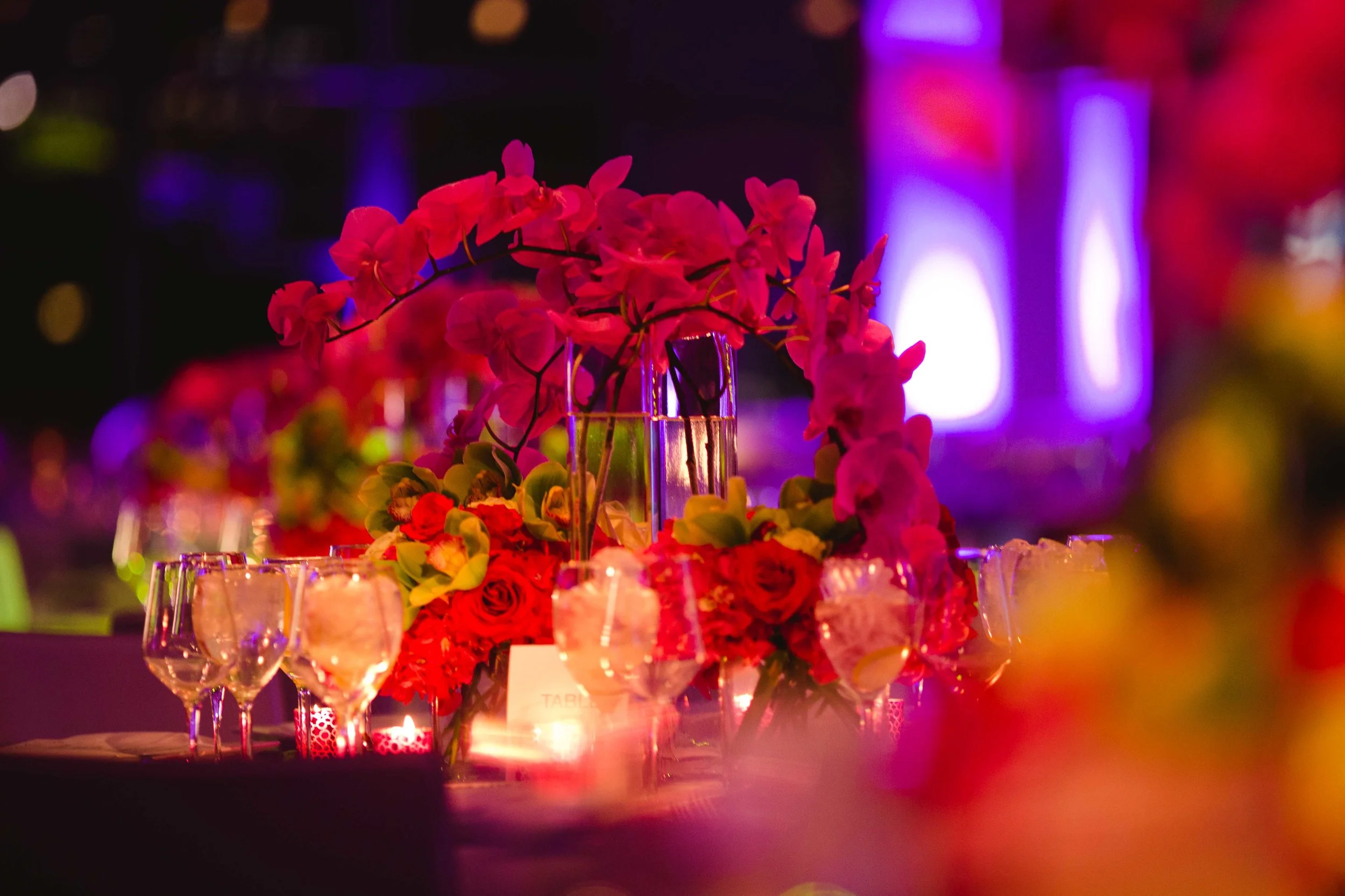 YenaDesigns_PriyaPatelPhotography_2.8.14-108.jpg