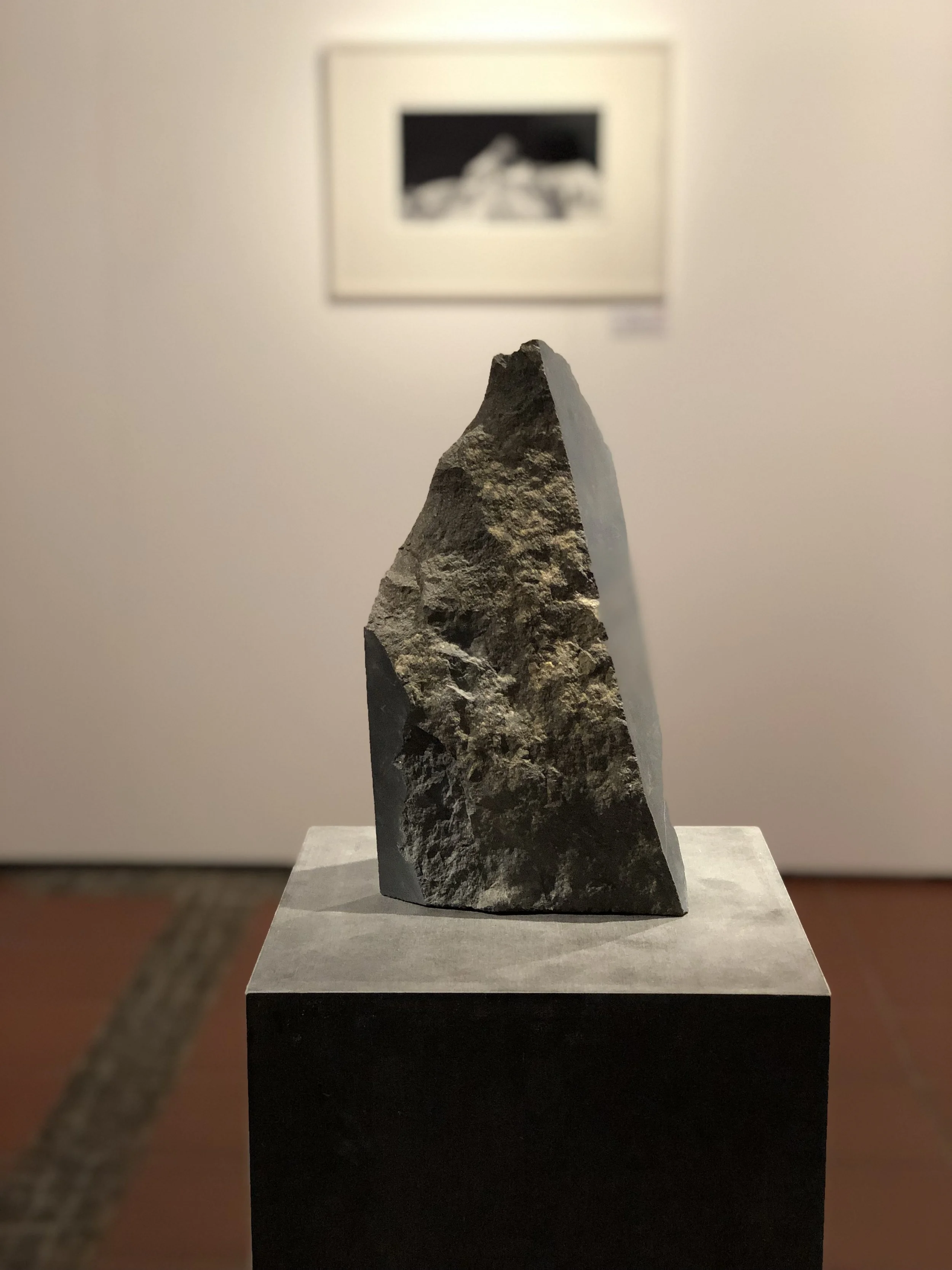 Daniel Probst ein Stück Heimat Allgäuer Festwoche 2.JPG