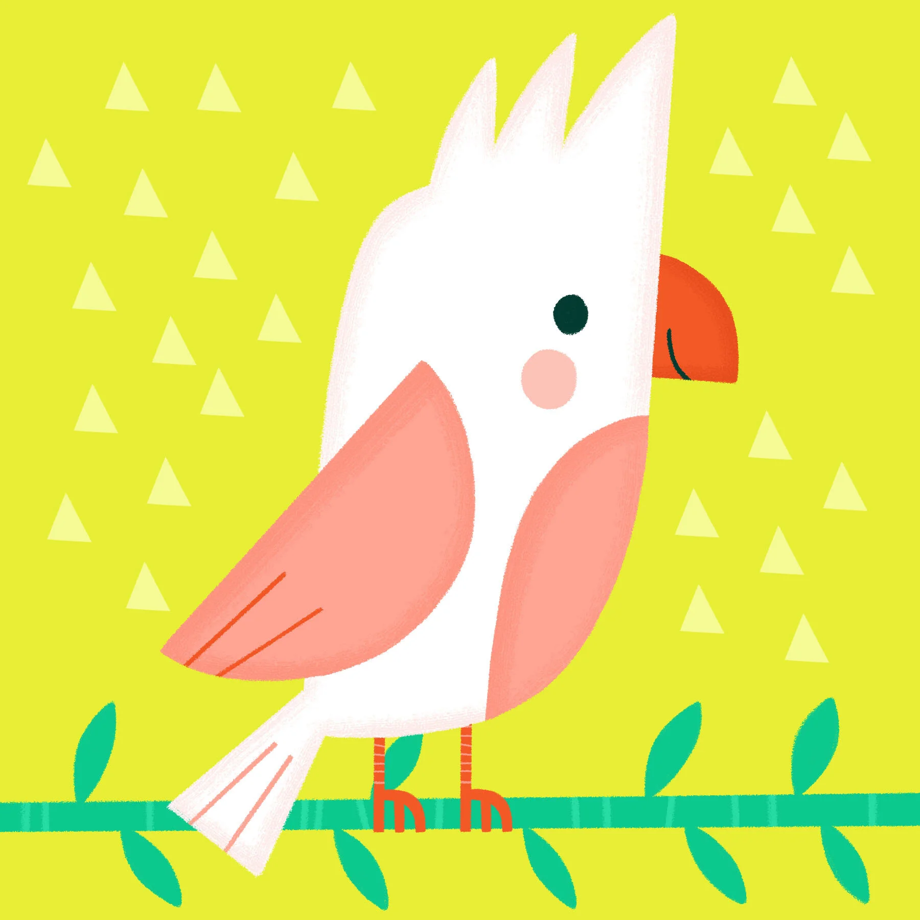 BIRD 3.jpg