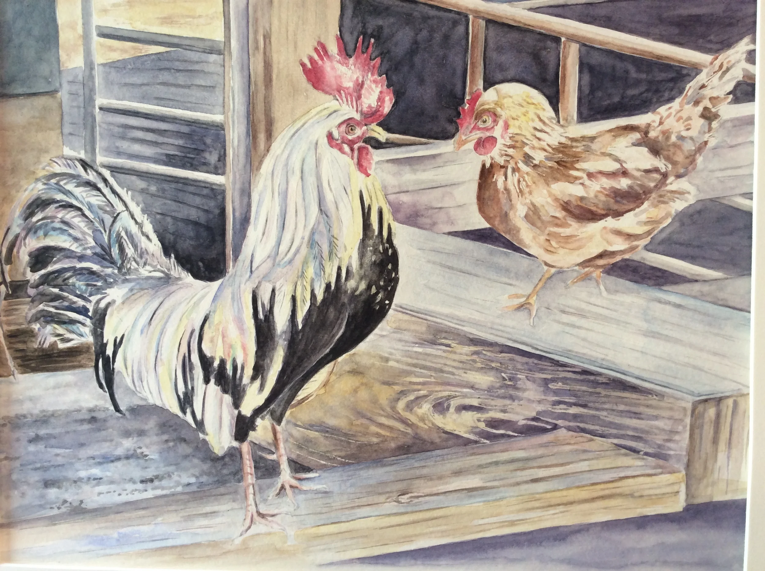 Chickens $350.