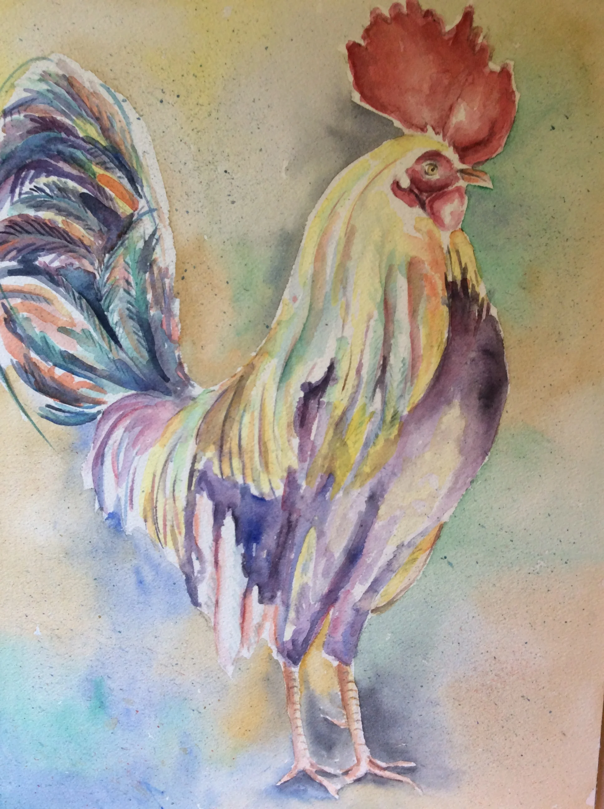 Rooster $200.
