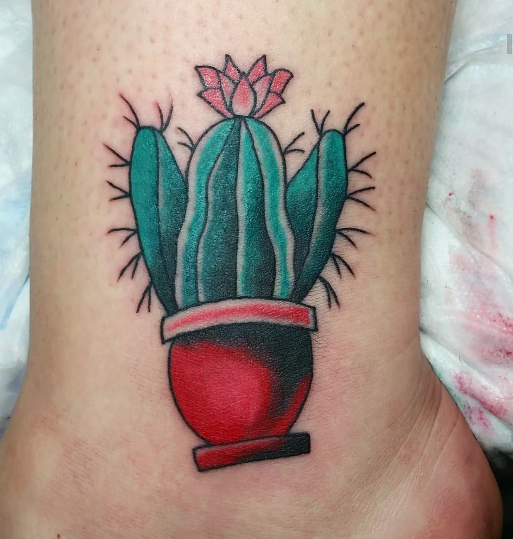 cactus.jpg