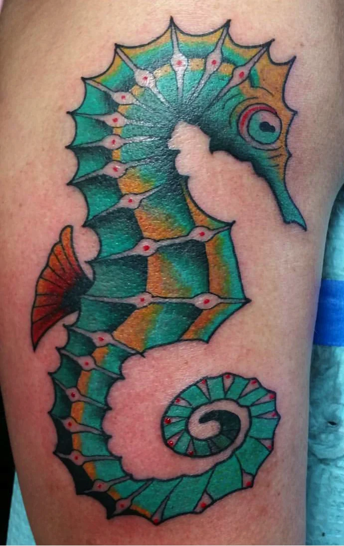 seahorse.jpg