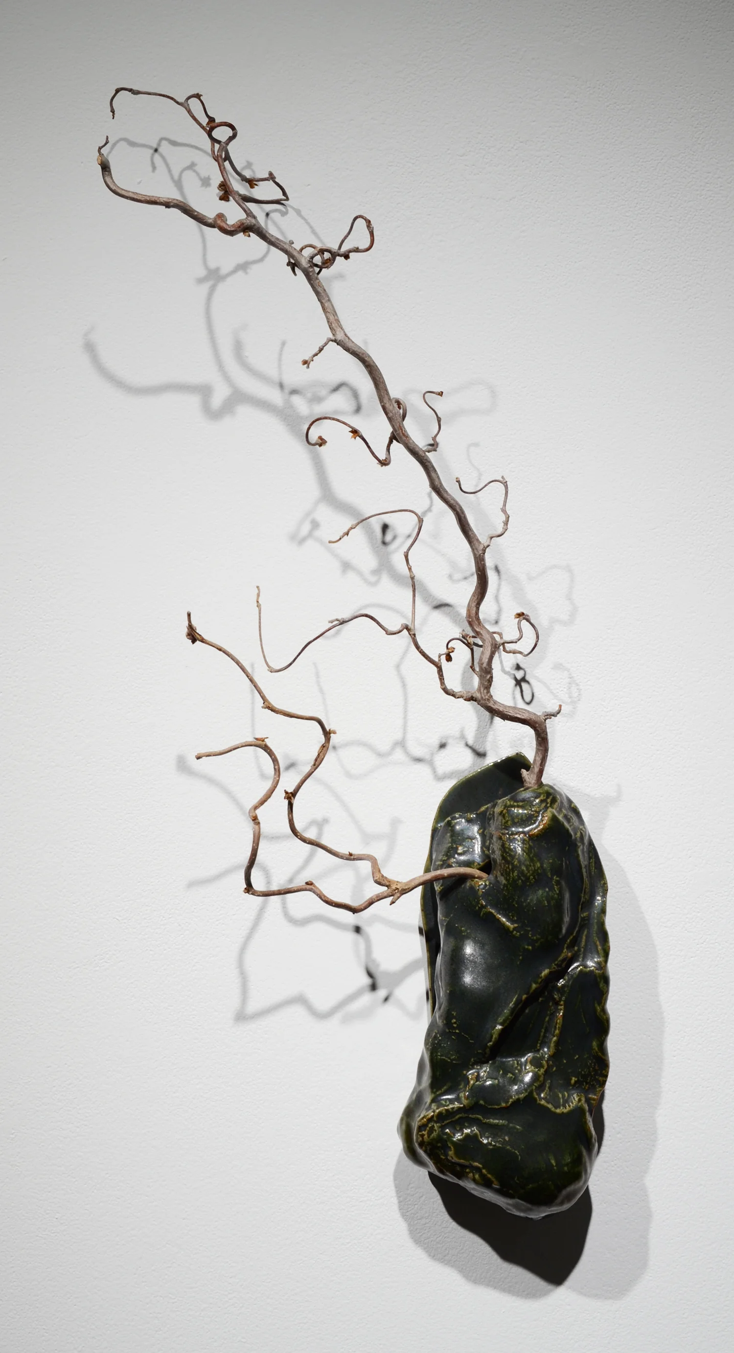 Wall Vessel with Curly Limb Arrangement