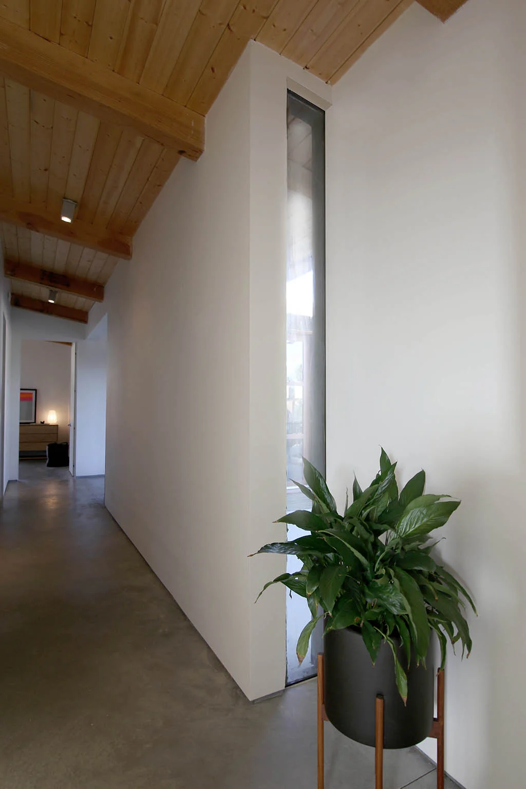 hallway-2.jpg