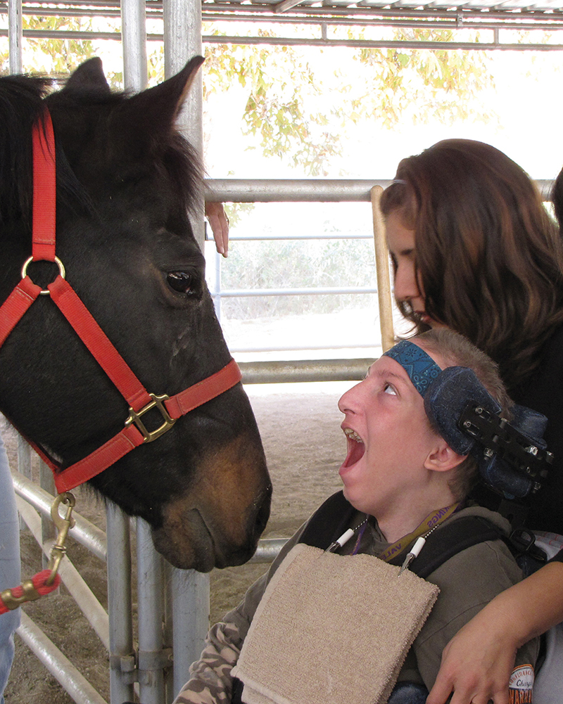 Zach interacts with Sasha the horse.