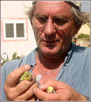  Avi, Hakol Chai's photographer, with parakeets in Gaza.&nbsp; 