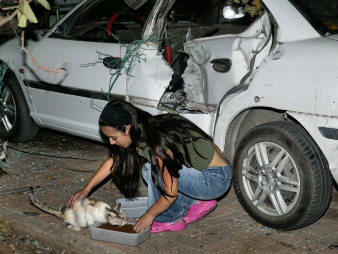  A Hakol Chai volunteer feeding cats next to a bombed car. 