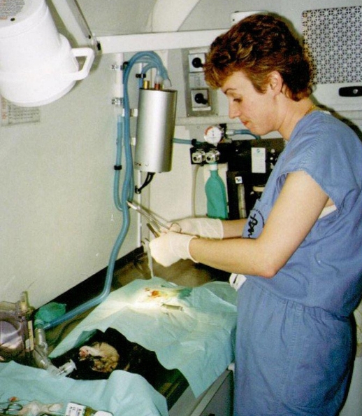 Inside CHAI's mobile spay/neuter clinic.