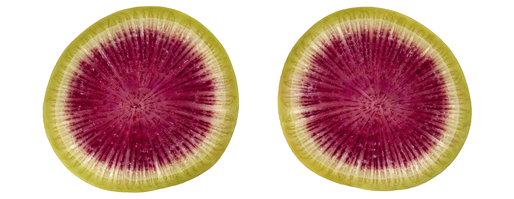 sliced watermelon radish
