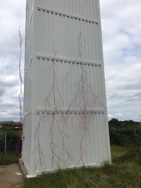 Women’s Suffrage Came at A Cost 