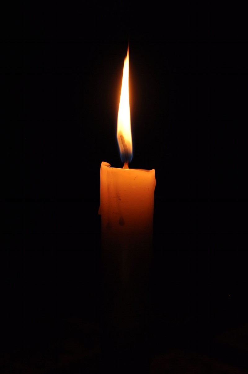 By Bangin (Own work) [ GFDL , CC-BY-SA-3.0 or CC BY 2.5 , via Wikimedia Commons