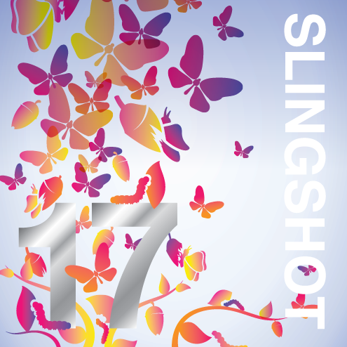 Slingshot-17-National-button.png