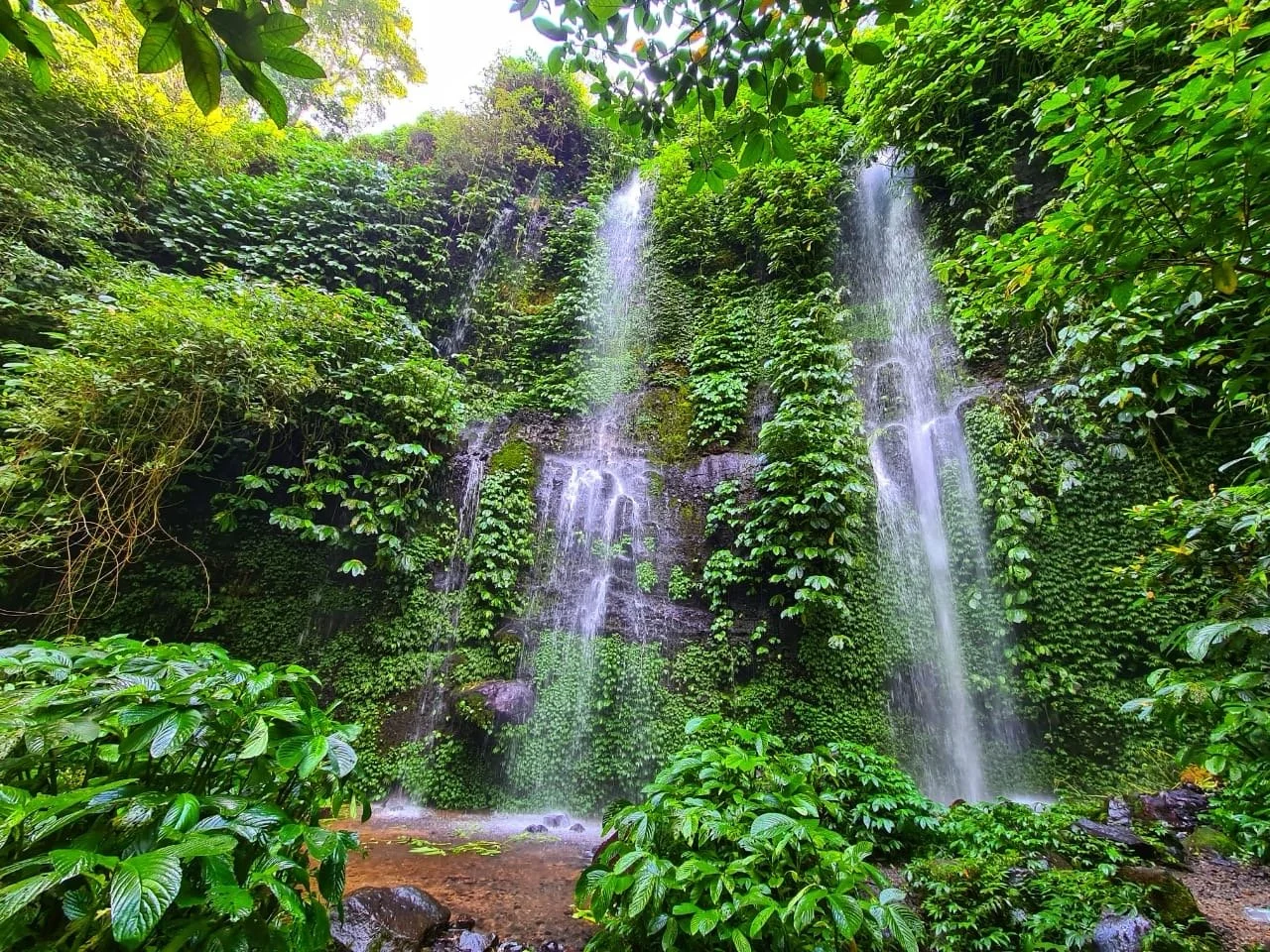 PHOTO-2021-06-08-19-09-00 2 Besar.jpeg