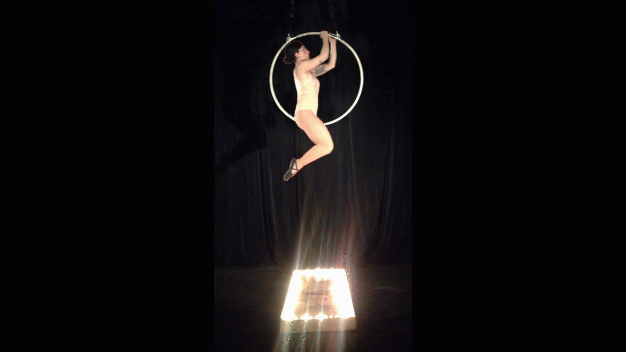 old bird hoop Sequence 02.gif