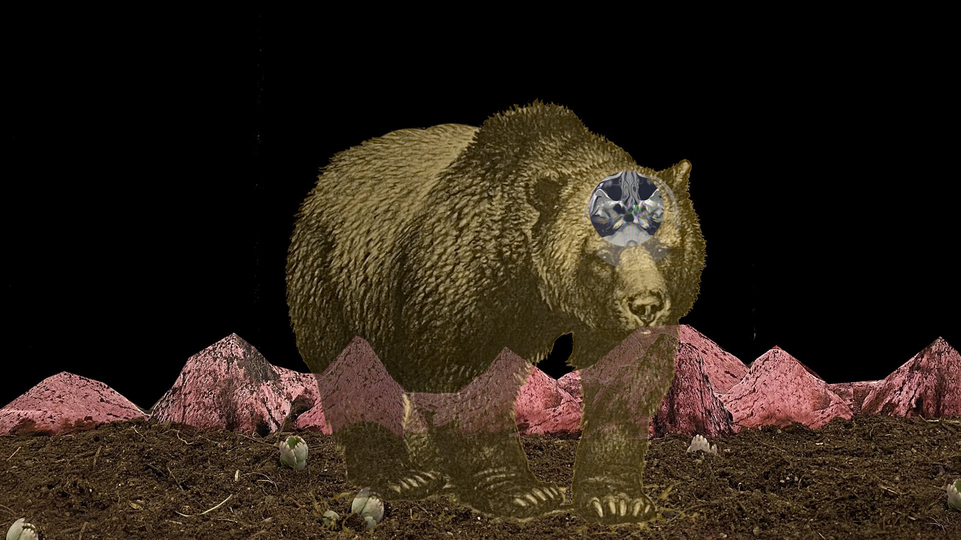 bear with b_21.Still003.jpg