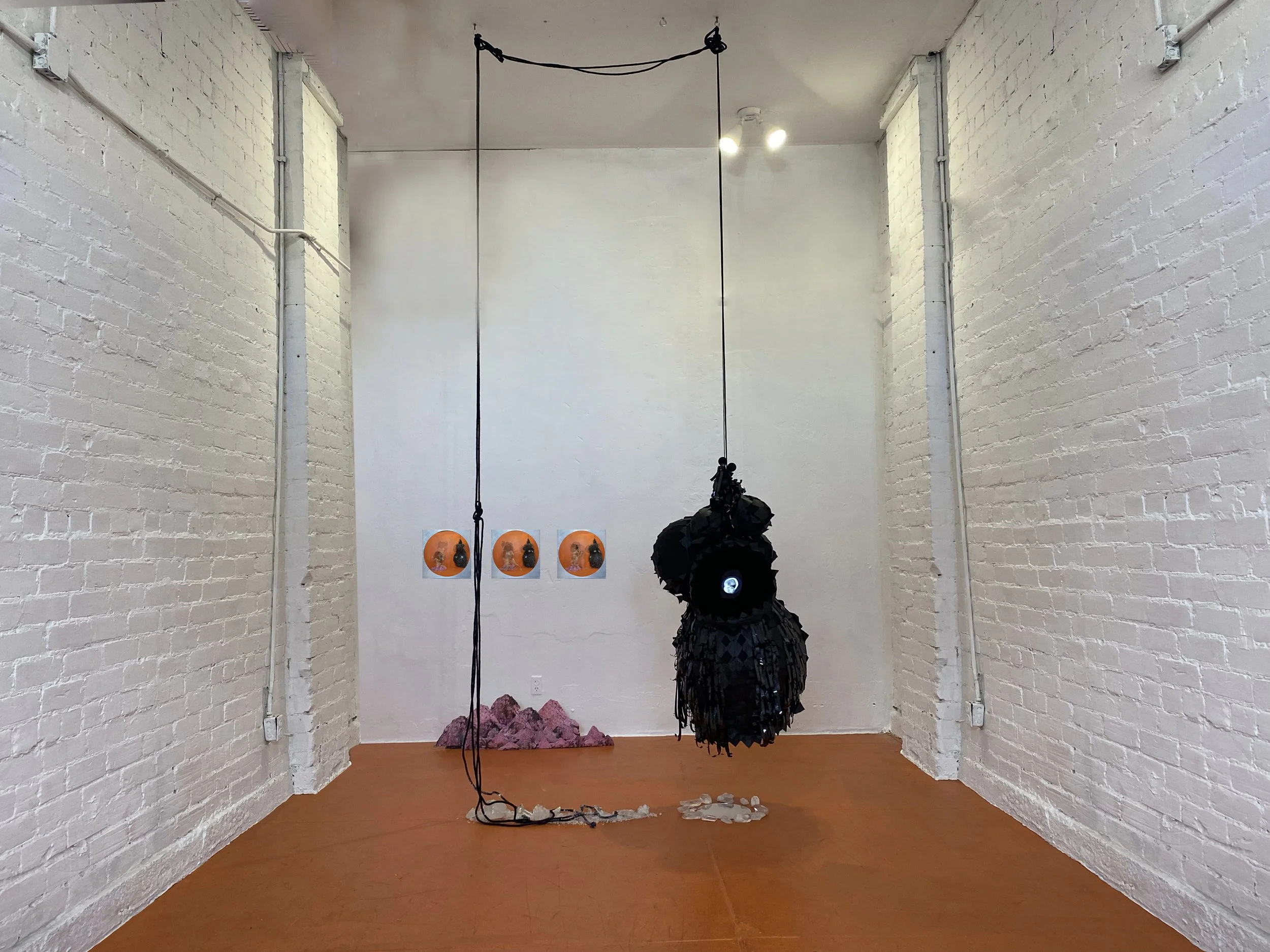 Mixed media installation with MRI video, salt crystals and mountain flats