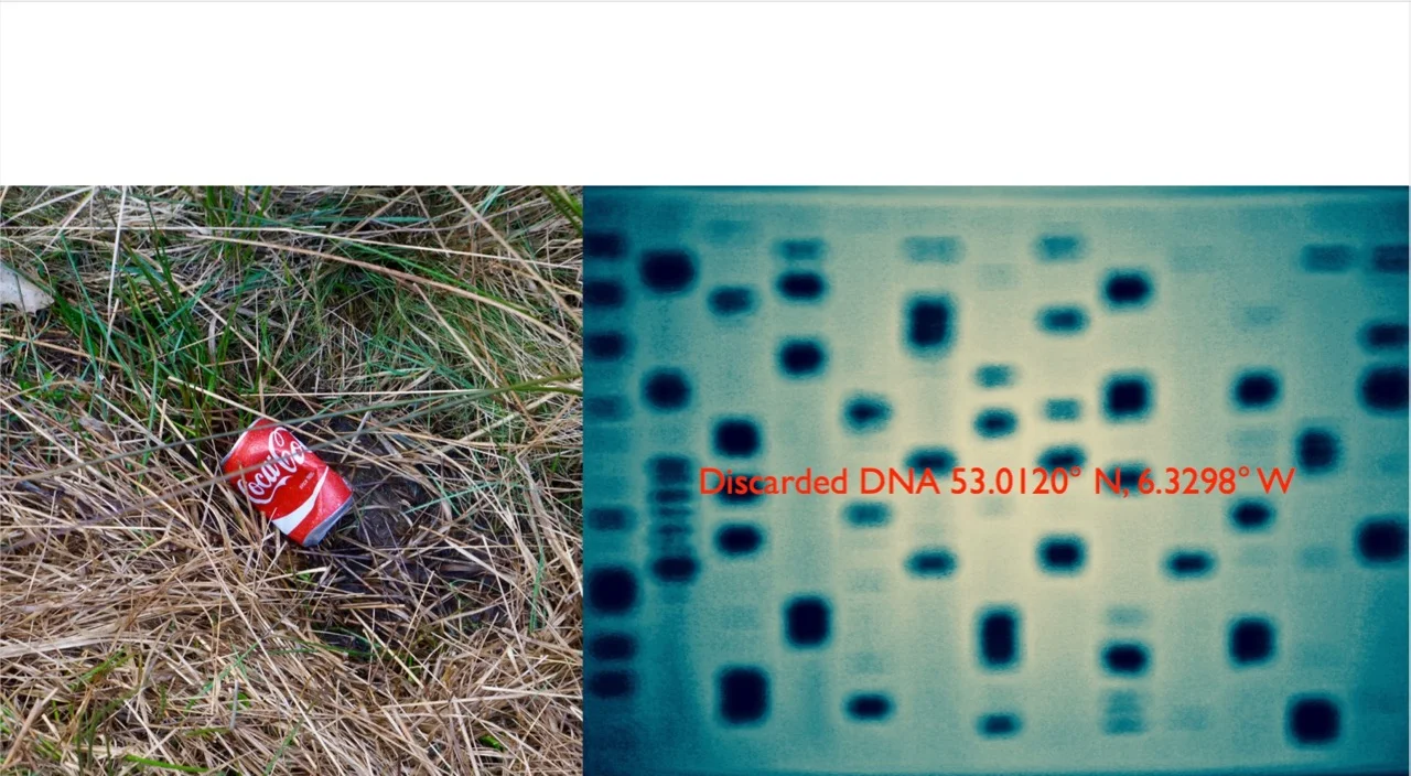 SQ DNA.jpg