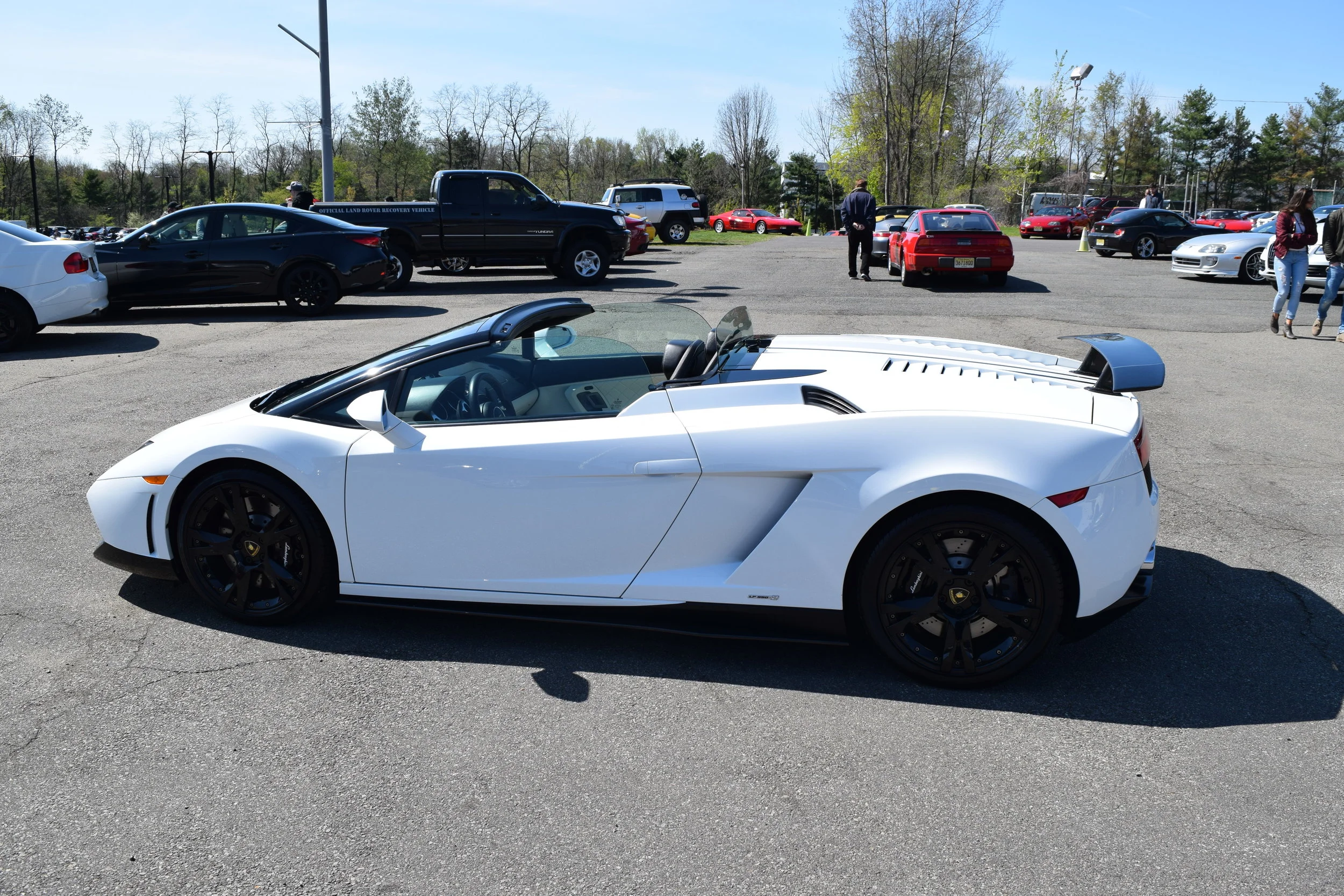 The Synopsis: The Affordable Lamborghini?
