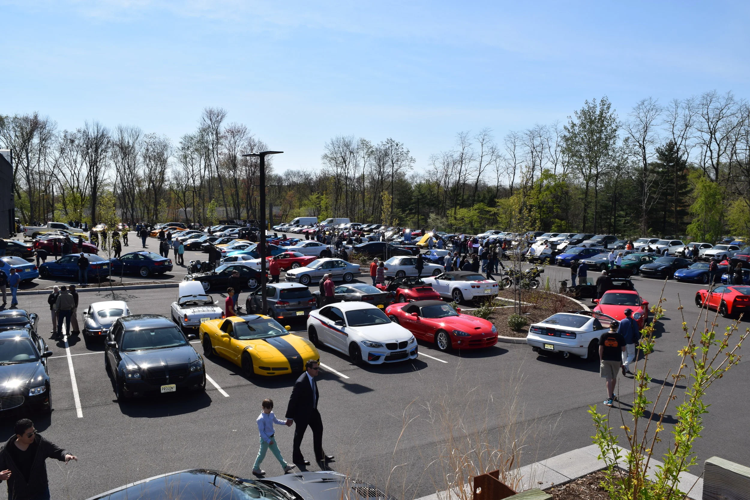 The Joy of Morning Coffee