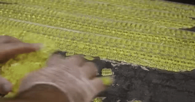 6.gif