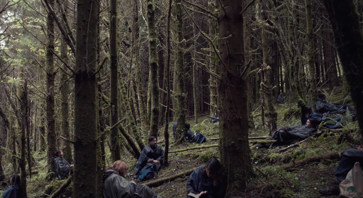 The Lobster (movie) explained —