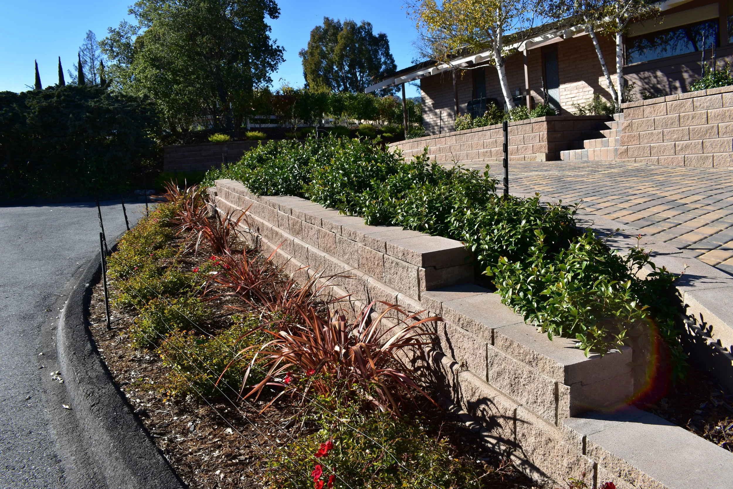  Block retaining wall , along with all new plants. 