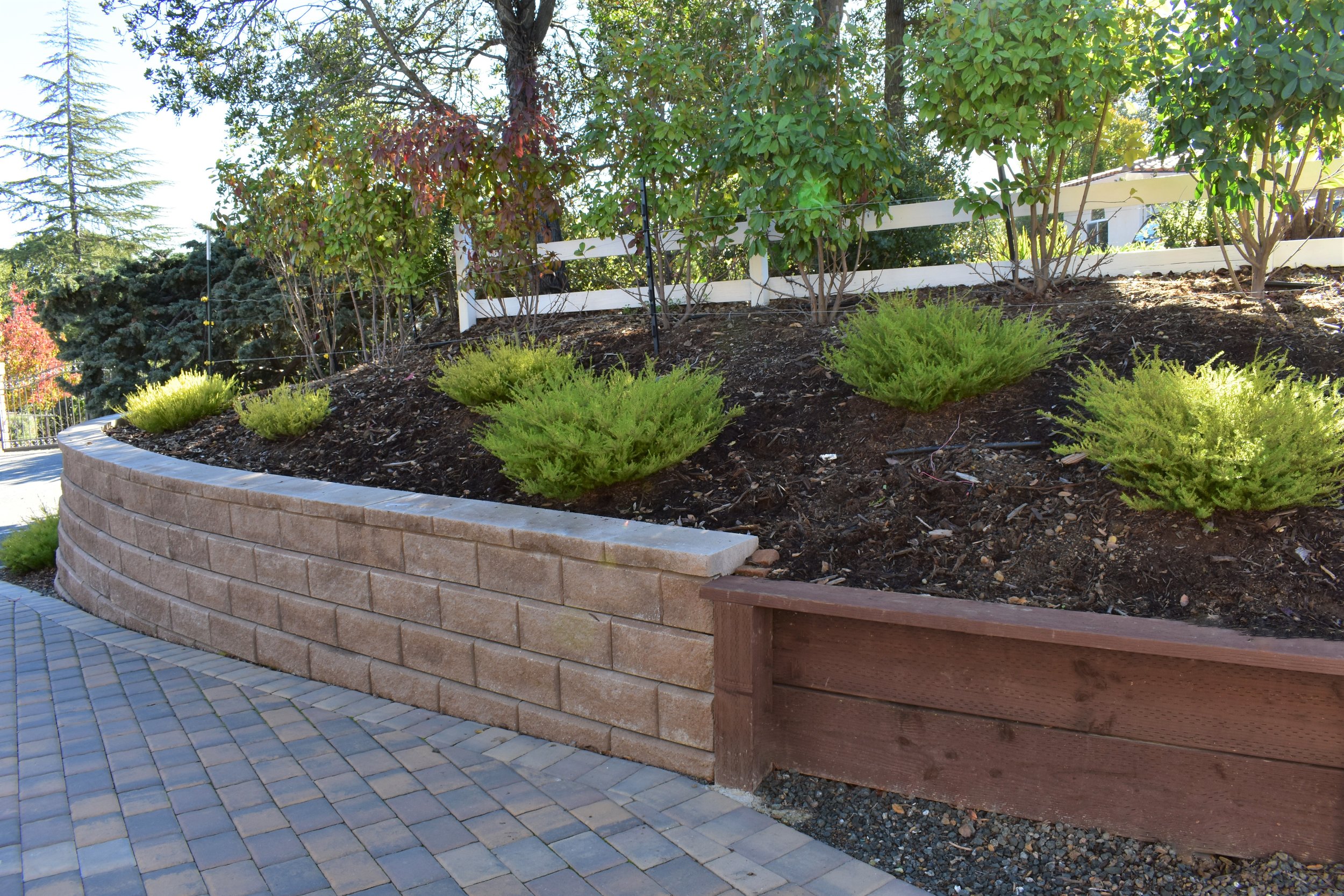  Block/ wood retaining wall combo, along with all new plants. 