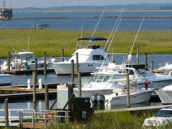 marina close up.jpeg