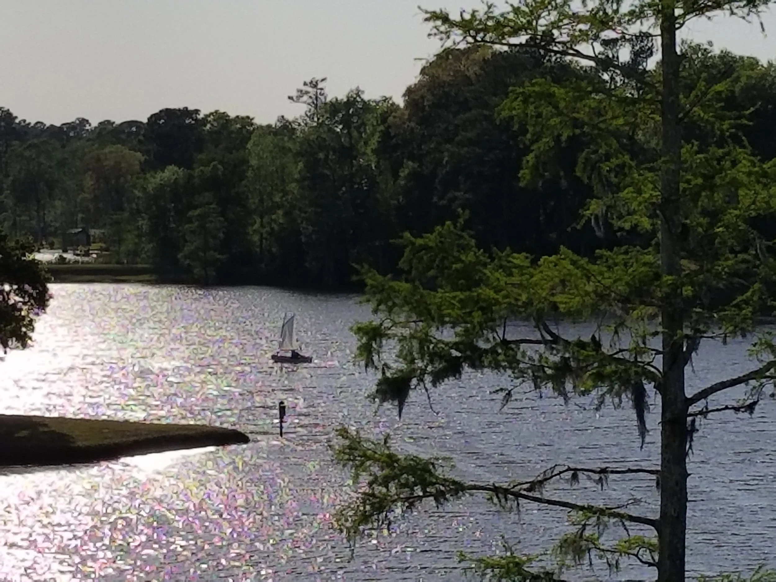 Belle Isle Lake sailor.jpg