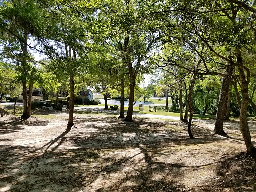   View through the trees to Lake Johnstone  