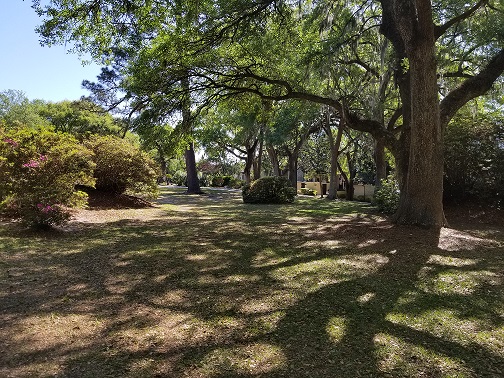   Plenty of room for shade and blue sky, or tents  